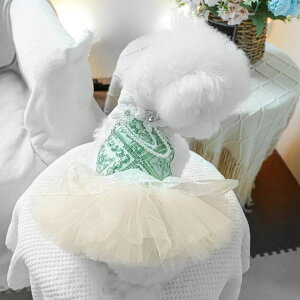  ybgp EFfBOhX ybg̕ tH[}hX [Xs[X L m lR RX`[ L ʐ^ Be ϐgybgpi  j LO p[eB[  