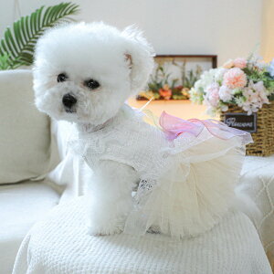 �������� �y�b�g�p �E�F�f�B���O�h���X �y�b�g�̕� �t�H�[�}���h���X ���[�X�����s�[�X �L �m�� �l�R �R�X�`���[�� �L�� �ʐ^ �B�e���� �ϐg�y�b�g�p�i ������ ���j�� �L�O �p�[�e�B�[ ���� 