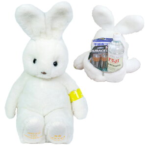 hЃAj}  1 hJ  eMtg EFJh[ ̏drbg po hЃZbg KN ETM e 1LO