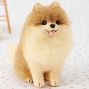 AN[kō|jA Lbg tFg|  ʂ R EFJh[ nhCh  }XRbg