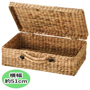 gN^oXPbg L 51cm EFJgN EH[^[qVX