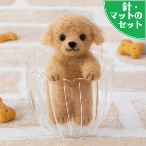 X^[^[Zbgt |[Y gCv[h Lbg tFg|   rуtFgLbg tFgr {mq搶fUC