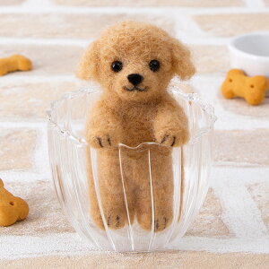 tFgō |[Y gCv[h Lbg tFg}XRbg tFg|   rуtFgLbg tFgr {mq搶fUC