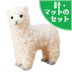 AN[kX^[^[Lbgt ӂӂ ApJ Lbg tFg}XRbg ʂ tFg|Lbg