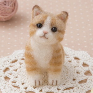 AN[kō钃g̎qL Lbg tFg}XRbg tFg| ՔL ʂ {mq搶fUC