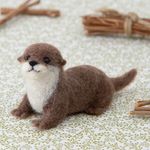 JE\̃}XRbgLbg tFg|  ʂ R  nhCh RcJE\