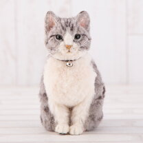 楽天市場】羊毛フェルト 猫の通販