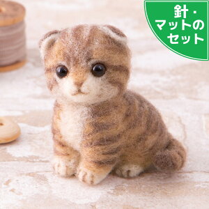 AN[kX^[^[Zbgt XReBbVtH[h Lbg tFg| ˂ tFg}XRbg