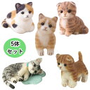 猫ねこ 手作りキット 5体セット 茶トラ マンチカン サバトラ スコティッシュフォールド 三毛猫 ネコ好きセット フェル…