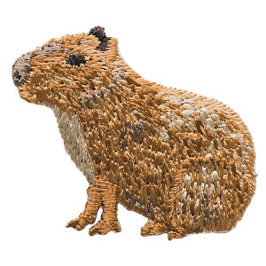 vy hJby Jso 3  nhCh |Cg AbvP ACڒ Rl^ diy ς