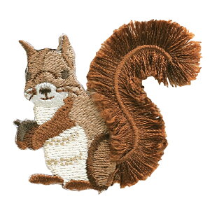 ӂӂ by X 3Zbg ACڒ AbvP 肷 Il