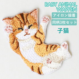 猫 ベビー アニマル ワッペン アイロン接着 3枚セット アップリケ 手芸品 デコレーション アレンジ 入園準備