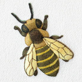 ふくらむ不思議なワッペン 蜜蜂 6枚セット アイロン接着 ミツバチ ワンポイント 昆虫 自由研究 手芸 工作