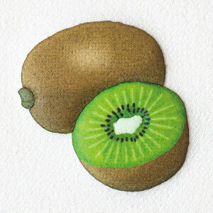 ӂޕsvcȃby LECt[c 6Zbg ACڒ |Cg | H