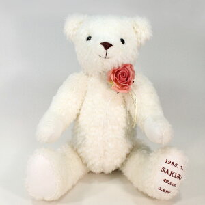 D̑̏dxA zCgiT[sNRT[WtjyEFJh[ EFCgh[ EGCgxA  ԑ eMtg oYjz 1LO