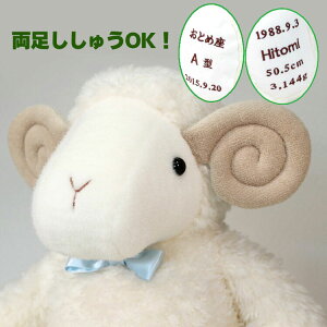 r̃EFCgh[K^ ^ Ђ̂߁[ lN^CtEイ EFJh[ N ʂ oYj  eMtg 1LO