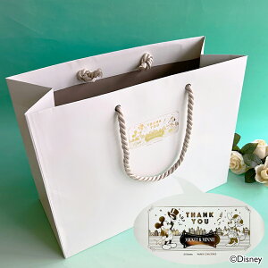 ディズニー紙袋 ミッキー&ミニー 10〜30枚セット Sサイズ(高さ27×横幅35.5×マチ15cm)パールホワイト ペーパーバッグ(北海道・沖縄・離島エリアへの配送不可)
