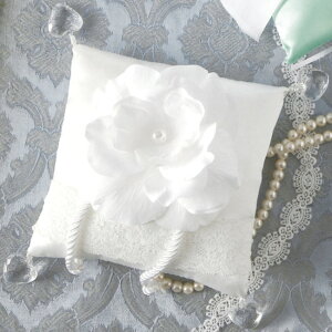 yOs[izzCg[Y XNGÃOs[ u[[  ONbV ؂₩ 