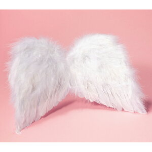 �K�����^�� �V�g�̉HS�T�C�Y�i�c���`���w�Z��w�N�����j�� ������ �����O�{�[�C �t�����[�K�[�� �C�x���g �w�|�� ���\�� �q���p �H�� �T�v���C�Y ���� �ߑ�