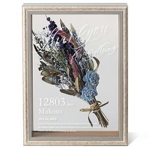 hCt[  ԑ t TL[ t[A[g iu[jeMtg e ԑ  I  LOi v[g t[AWg AfCY ӏ