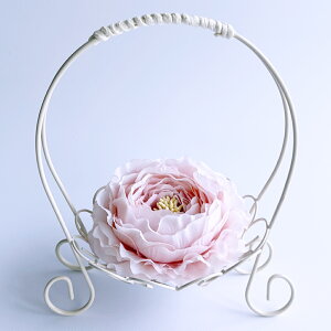 T[o[oXPbg Os[i S ݃sN̂ ONbV iLX  OK[ C[JS ^