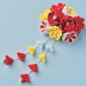 ܂ݍ׍H Ԃ̔ LbgiԁjٖD | nhCh ߂ h a aG ܎O l