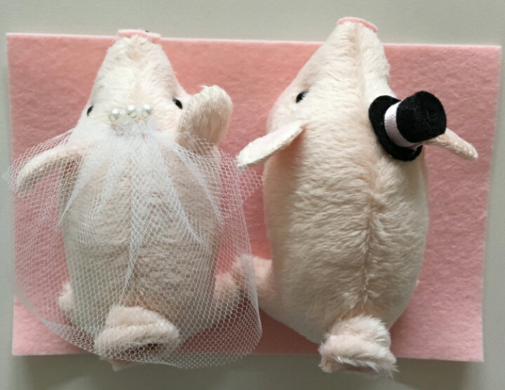 楽天市場】綿20g・ぬいぐるみ針付き ミニミニとんちゃんのウェルカム 