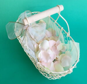 AC{[oXPbgMi28cm)  v`Mtgp t[AWpC[x[X  [oXPbg t[x[X  JS