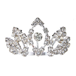 ʂݗp LL eBA EFJh[p }XRbgp 4cm 2.5cm ~jTCY AR