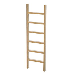 Ebh_[ 1 ͂ ؐ   NX}X  EFJ {[h t[x[X q nVS