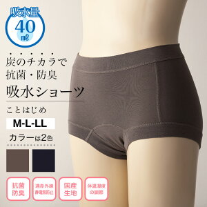 ݌Ɍ Av[X Ƃ͂߁izV[cjARpc yփpc 傢 Az pc  wl fB[X 傢R ʂ̃pcɌ  