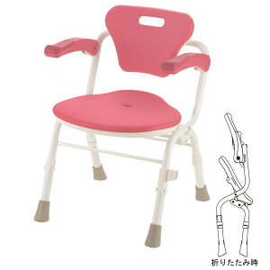 炩V[`FANI ܂肽݁ihJrvXj I|t460 / 19193 sN ʍő45cm܂  V[`FA V[֎q Cp֎q ӂCX CCX