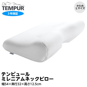 es[ ~jAlbNs[ L  54×s32×12.5cm 3Nۏ