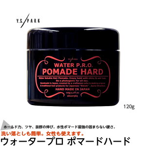 Y.S.PARK Professional EH[^[v |}[hn[h 120g CGXp[N YSp[N |}[h 