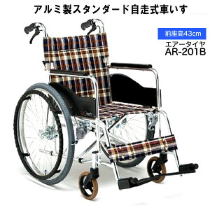 A~X^_[h^ԂiGA[^Cj^ԁFAR-201B i쏊 ېŔw܂肽݁[J[̒iłyېŏiz