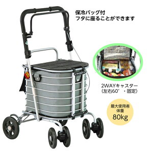  n[j[ALiA~J[j ۗobOtyszVo[J[ VjAJ[ ΂ Vo[J[ ֎q ̓