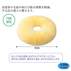 rуi[VObO ~^ ^ԁFNR-10 񒼌a36×8.5cm rуNbV ̈ʕێ xbh  Ԉ֎q zc Cy EBY P0045