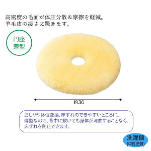 rуi[VObO ~^ ^ԁFNR-11 񒼌a36×4.5cm rуNbV ̈ʕێ xbh  Ԉ֎q zc Cy EBY P0046