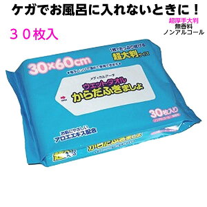 EFbg^I 炾ӂ܂ 30×60cm  30 ̐@ @^I ̗pEGbg^I PK  @ 