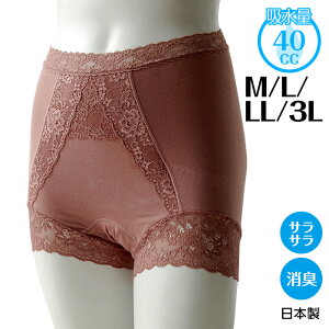 nR fB[X؂€CtV[c 1 zʖڈ40cc܂ { nÖѐD IVV[c [XV[c [Xpc  y Ap sp Azpc 傢p