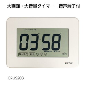 GRUS203 ʁE剹ʃ^C}[ zCg W164×233mm 傫^C}[ XgbvEHb` Ǘp 傫 AƗp H m  wZ