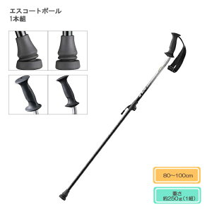 ミズノ エスコートポール 1本組 / C3JES91004 シルバーグレー サイズ/長さ80〜100cm 日本製 ウォーキング杖 ウォーキングポール ステッキ