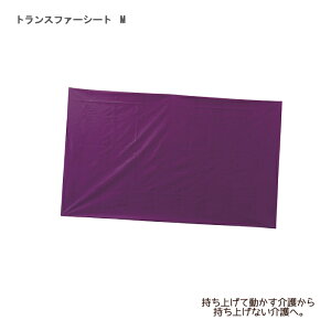 EBY gXt@[V[g M / 000-35-005 73×120cm F1 S  ڏpV[g ̈ʕϊ wp[ Q 