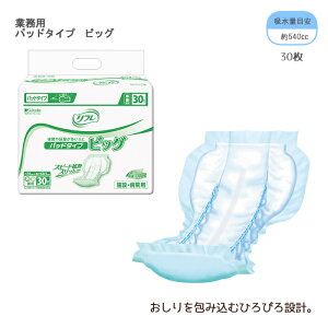 uhDR[|[V Ɩp pbh^Cv rbO / 1650218086 30 Apbh Ic lpނ p ĝăIc Ic p {