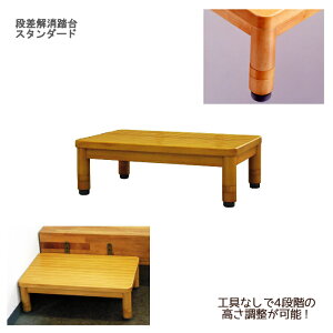 �L���^ �i���������� �X�^���_�[�h / KB-100