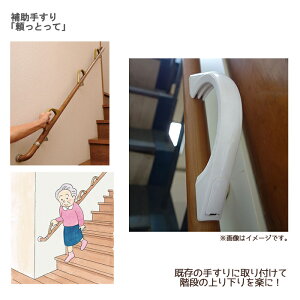 cӋHƏ ⏕肷uƂāv / VFH-214-S Vo[ 1 Ki̎肷