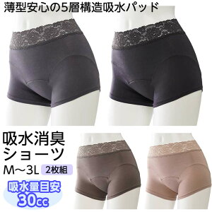 N{E iZ(R)gp fB[X zLV[c IA[[ 2Fg wlp/TJI-634@M/L/LL/3L [΂ zʖڈ 30cc wlp fB[X p zpc y  ڗȂ 