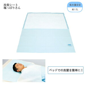 V[g Dς肳 / 10 zʖڈ^1.5L 90×110cm { zV[g Q܂  Q PK