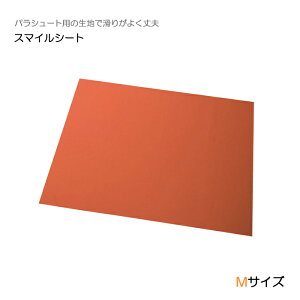 X}CV[g MTCY / CS-SM-M 145×100cm IW I[XgA ̈ʕϊ |WVjO ڏ ̂XCh QĂl𓮂 ̈ʕϊV[g pXChV[g