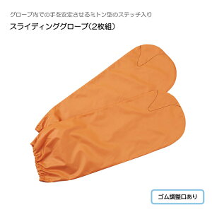 G[ XCfBOO[ui2gj / 4071 ~g^ { ̈ʕϊ |WVjO ڏ ̂XCh QĂl𓮂